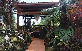 La Liane De Jade 974 - Lodge 